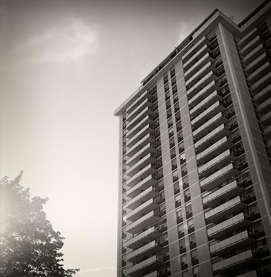 Rolleiflex 3.5E, Agfa Scala film (for B&W slides), developed as a negative in Rodinal