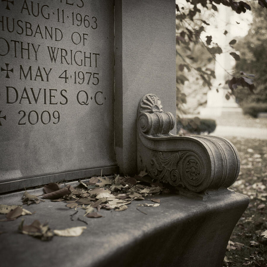 Rolleiflex 3.5E, expired Provia 100F slide film, scanned and given a split-tone conversion to B&W in Photoshop.